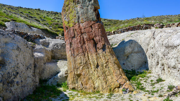 Ανεκτίμητος φυσικός θησαυρός 9 εκατομμυρίων ετών κρυμμένος στην περιοχή της Ελασσόνας