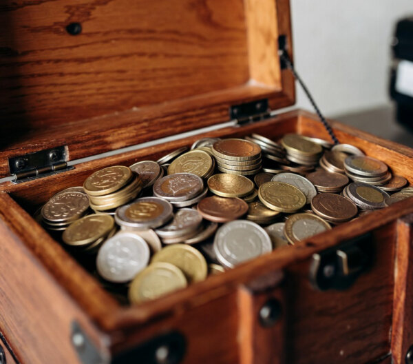 Άδεια να ψάξουν για λίρες σε δάσος της Καλαμπάκας έλαβαν πολίτες