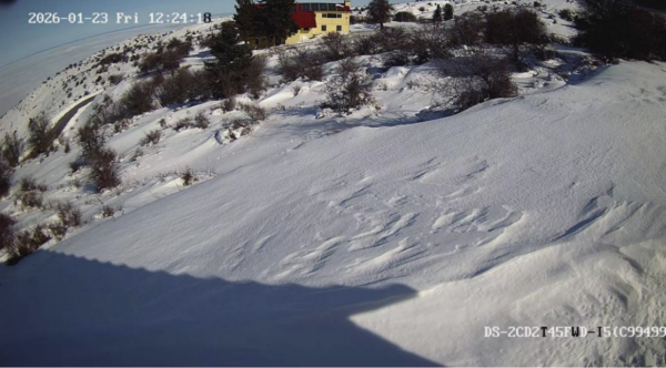 Κοπή πίτας και γενική συνέλευση για τον ΕΟΣ Λάρισας