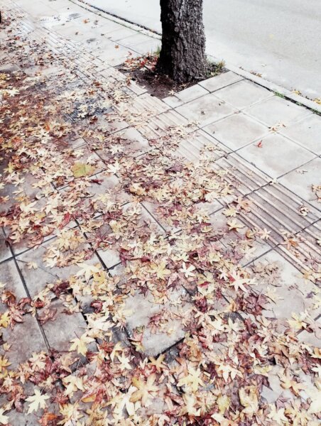 Δημοσιογραφία των πολιτών: Επικίνδυνα μονοπάτια πόλεως Λαρίσης (φωτ.)