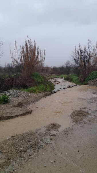 ΛΑ.ΣΥ.: «Ξανά και ξανά τα ίδια για αγροτοκτηνοτρόφους και κατοίκους της Τσαριτσάνης και της Ελασσόνας με μια μικρή μπόρα» (φωτ.)