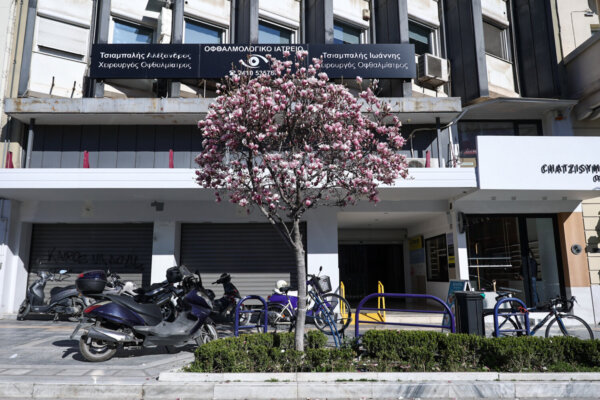 Άνθισαν οι μανόλιες στη Λάρισα (φωτ.)