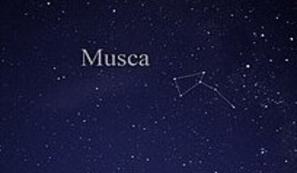 Constellation Musca