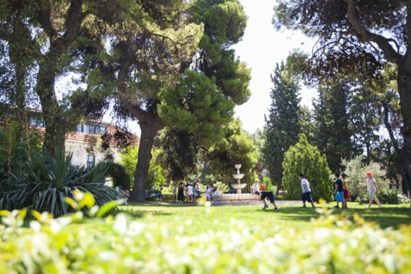 Αμερικανική Γεωργική Σχολή: Καλοκαίρι στο Αγρόκτημα 2026