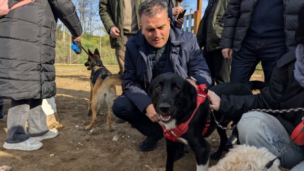 Δ. Λαρισαίων για αδέσποτα ζώα: Αίτημα για αποτεφρωτήριο και ειδικό χρηματοδοτικό εργαλείο