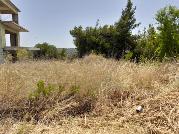 Ακαθάριστα οικόπεδα: Άνοιξε η πλατφόρμα – Πρόστιμα αν δεν δηλώσετε