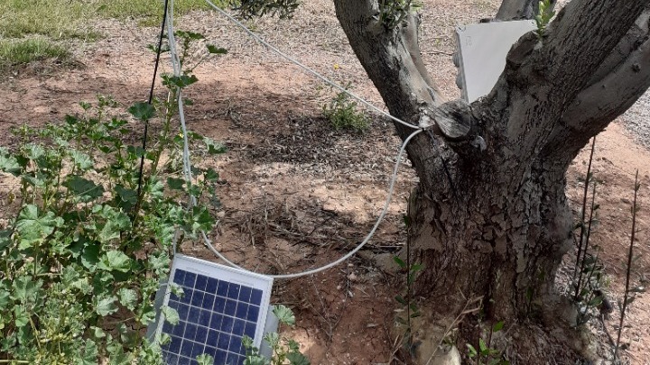 Αισθητήρες και μετεωρολογικά όργανα που χρησιμοποιούνται για μετρήσεις στο πλαίσιο του έργου «Ελαιόραμα»