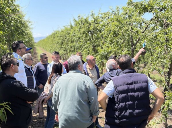 «Πληγές» στις καλλιέργειες…
