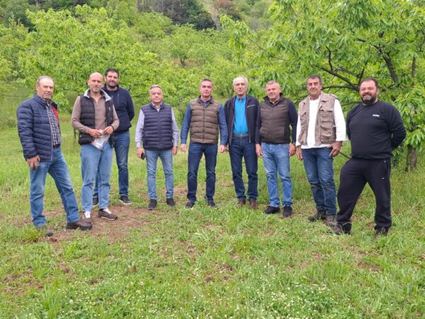 Στο πλευρό των παραγωγών της Αγιάς η Περιφέρεια Θεσσαλίας (φωτ.)