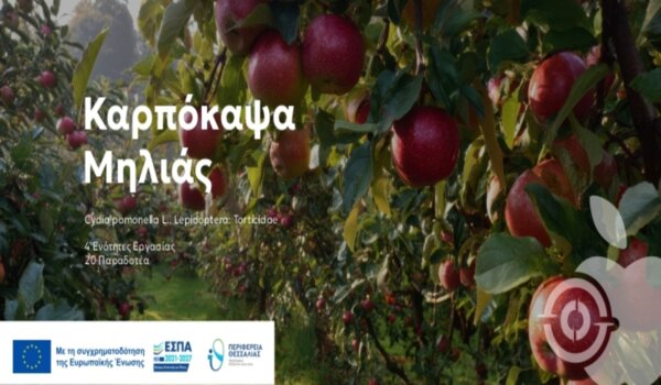 Σύγχρονες τεχνολογίες για τη φυτοπροστασία της μηλιάς στη Θεσσαλία IPM-APPLE – Σήμερα η έναρξη του προγράμματος