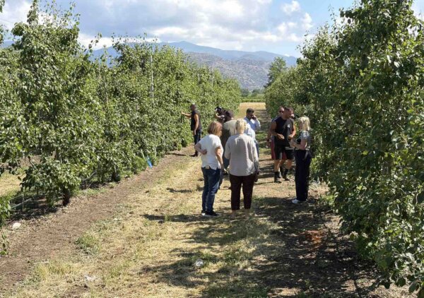 Δ. Τυρνάβου: Τεράστιες καταστροφές σε καλλιέργειες  μετά από διπλή χαλαζόπτωση την Κυριακή (φωτ. & βίντεο)