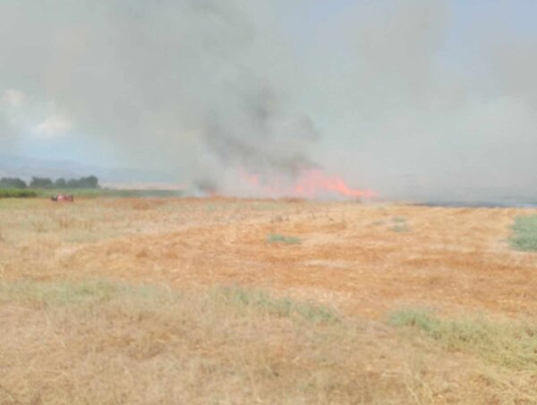 Φωτιά σε χαμηλή βλάστηση έξω από το Αργυροπούλι