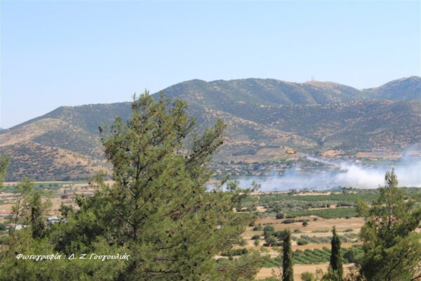 Ομόφωνη απόφαση της Δημοτικής Κοινότητας Γόννων για αποκατάσταση των ζημιών και στήριξη των πυρόπληκτων