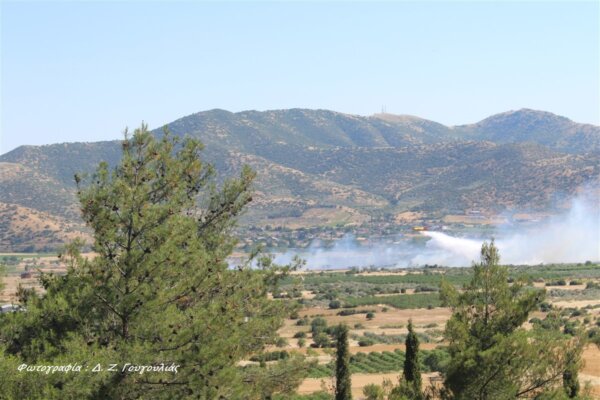 Και εναέρια μέσα στην προσπάθεια κατάσβεσης πυρκαγιάς στους Γόννους (φωτ.)