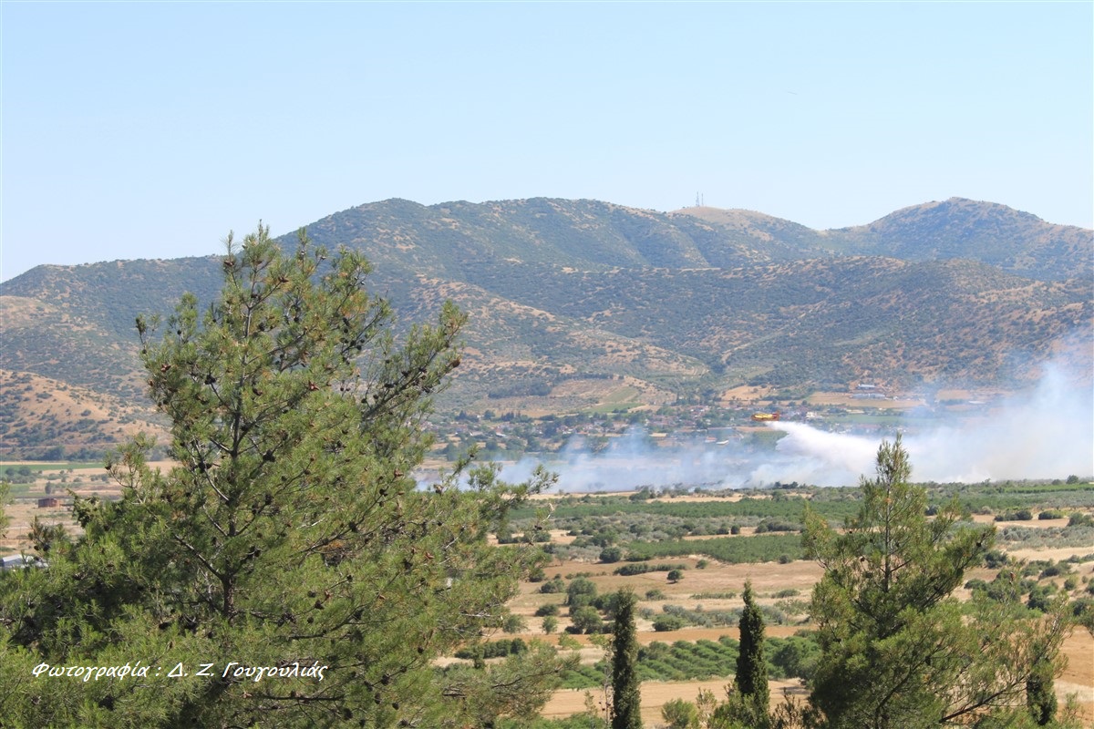 2026.05.29 Γόννοι-Πυρκαγιά 016