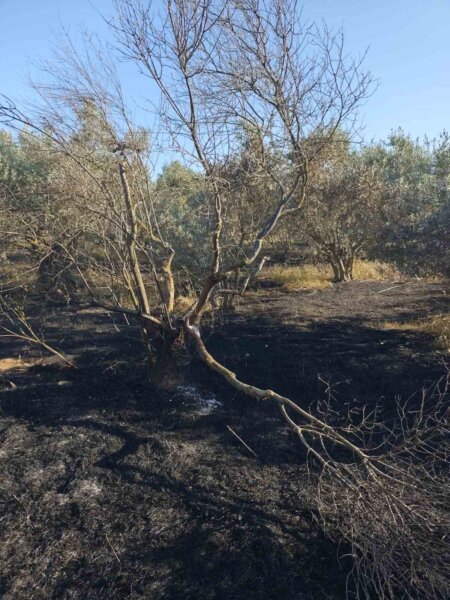 Γόννοι: Η Λαϊκή Συσπείρωση Τεμπών στην πληγείσα από τη φωτιά περιοχή… (φωτ.)