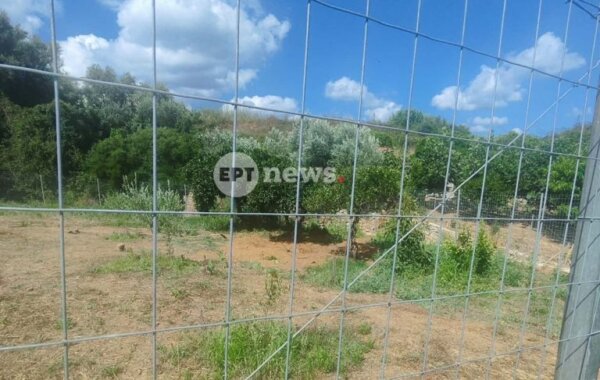 Χανιά: Νέα στοιχεία για τη δολοφονία της 45χρονης Σταυρούλας Λεβεντάκη – Ήταν δεμένη και φιμωμένη