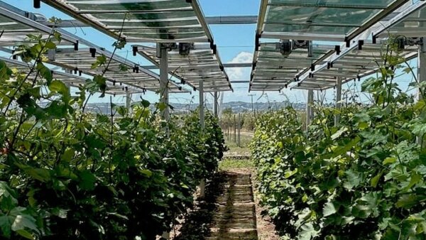 Από τα θερμοκήπια παραγωγής ενέργειας έως τη γεωργία ακριβείας