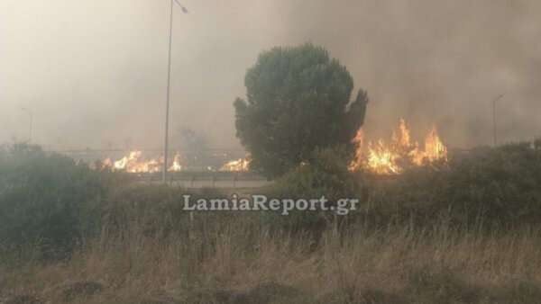 Έκλεισε η Αθηνών-Λαμίας εξαιτίας της μεγάλης φωτιάς στο Ακραίφνιο